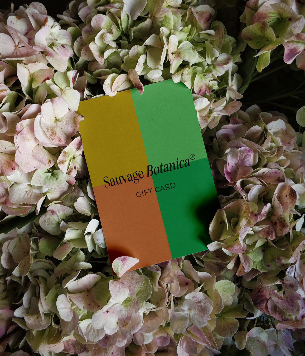 GIFT CARDS